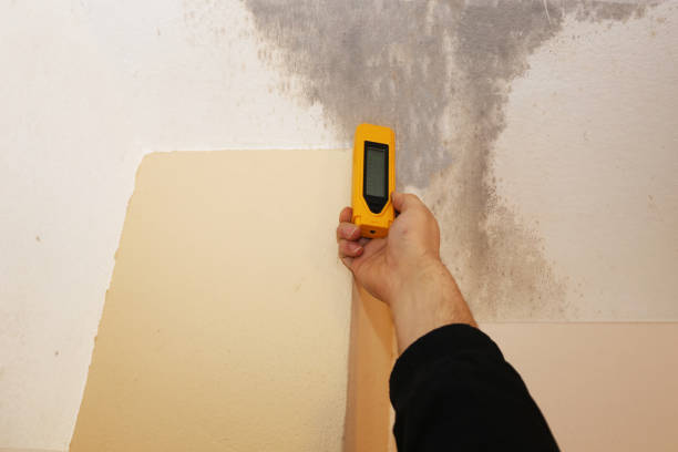 Best Mold Odor Removal Services  in Dysart, IA