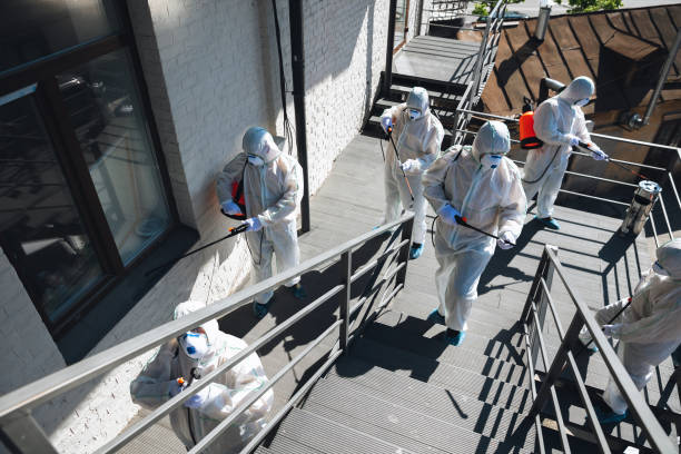 Best Mold Prevention Services  in Dysart, IA