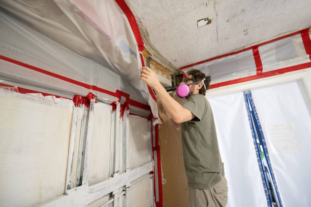 Best Air Quality Testing for Mold Spores  in Dysart, IA