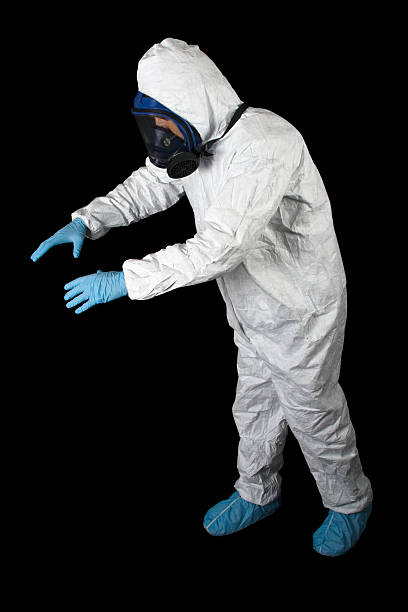 Trusted Dysart, IA Mold Removal Experts