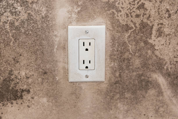 Mold Remediation for Rental Properties in Dysart, IA